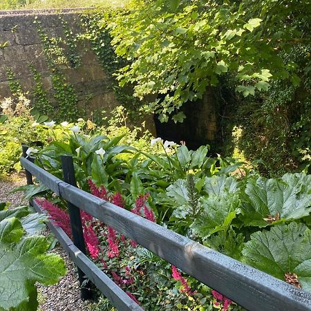 Atlantic Garden Lodge リスドゥーンバーナ エクステリア 写真